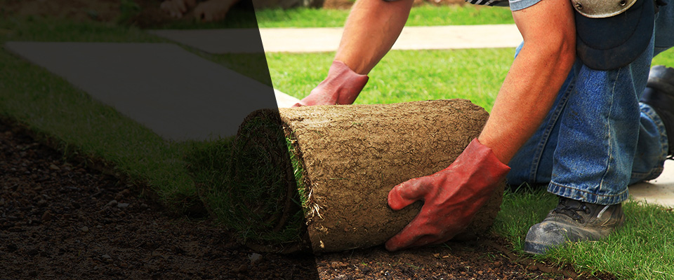 Mechanicville Landscapers